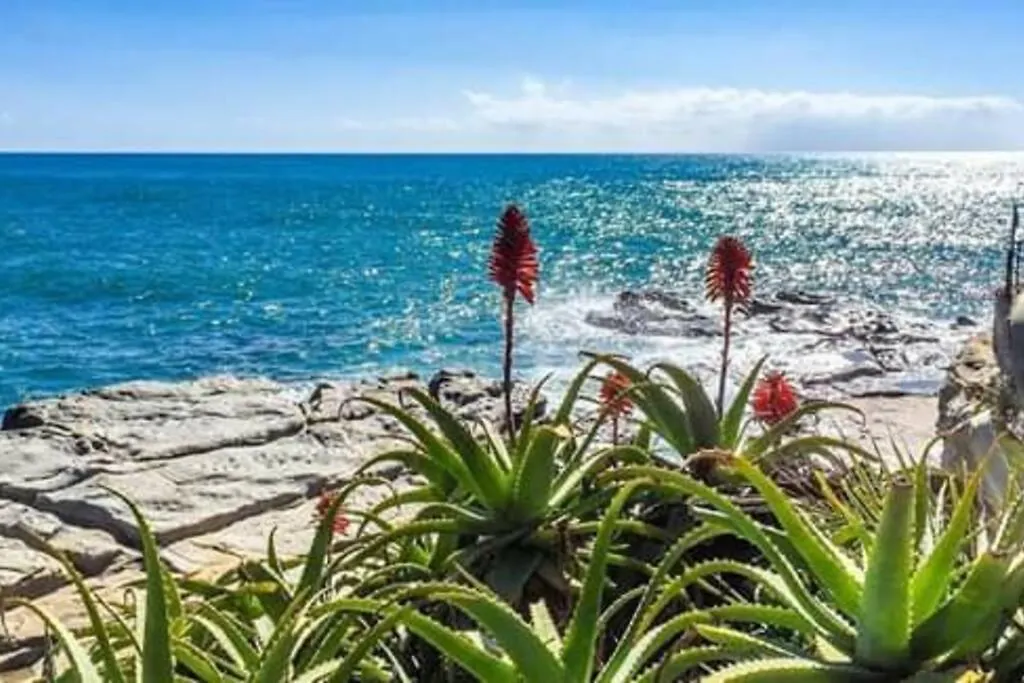 Villa Del Sole Bordighera Σπίτι διακοπών