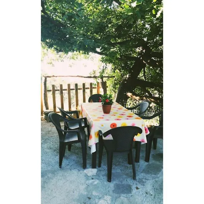 Villa Del Sole Bordighera Holiday home